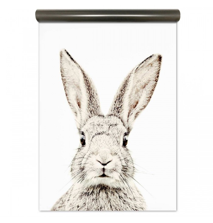 Magnetic Paper Rabbit Wallpaper