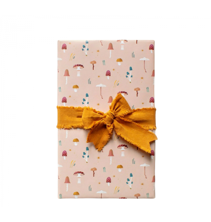 Wrapping paper 2 pieces - world of fairies - Mondomombo