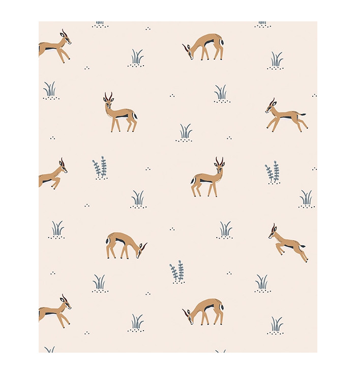 Gazelle neonato hotsell