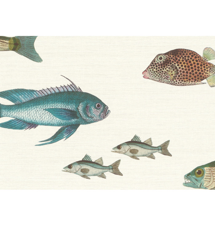 Wallpaper See fish - Fiaba - Jannelli e Volpi
