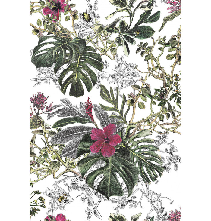 Wallpaper Seasons - Summer Tropical Bloom - Sian Zeng
