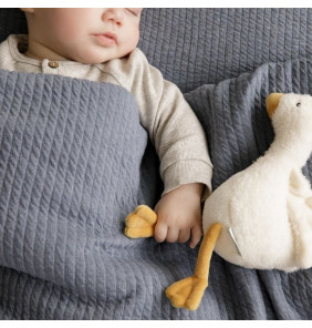 SMALL CUDDLY LITTLE GOOSE - Little dutch