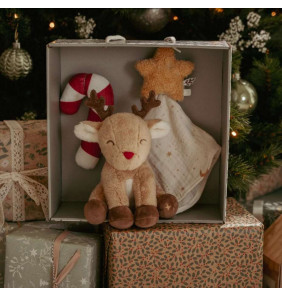 Set Regalo Natale per Neonati - Little Dutch