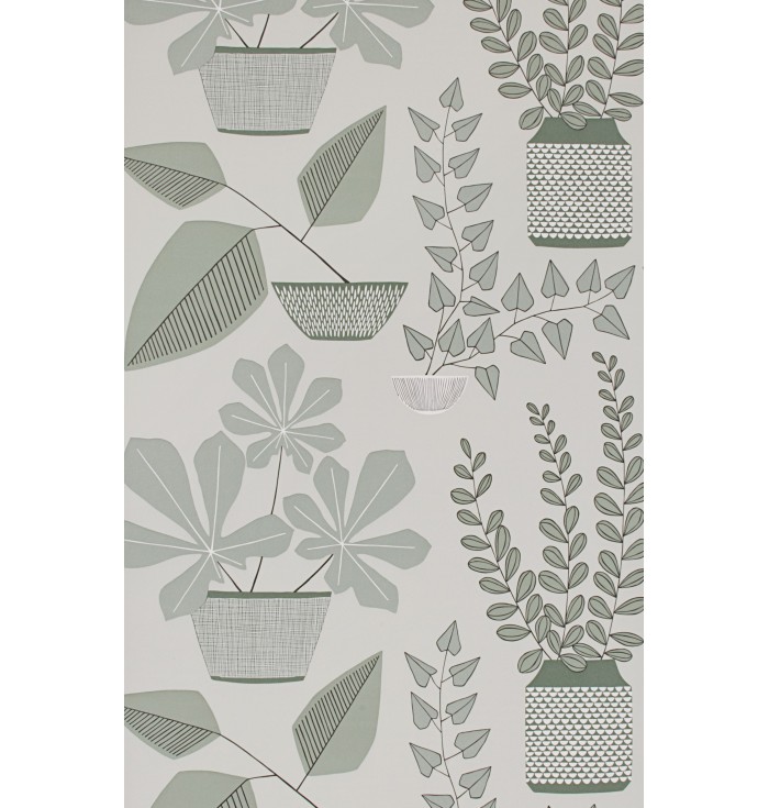 Collezione 4 - House Plants - Miss Print