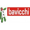 Bavicchi