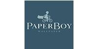 PaperBoy Wallpaper